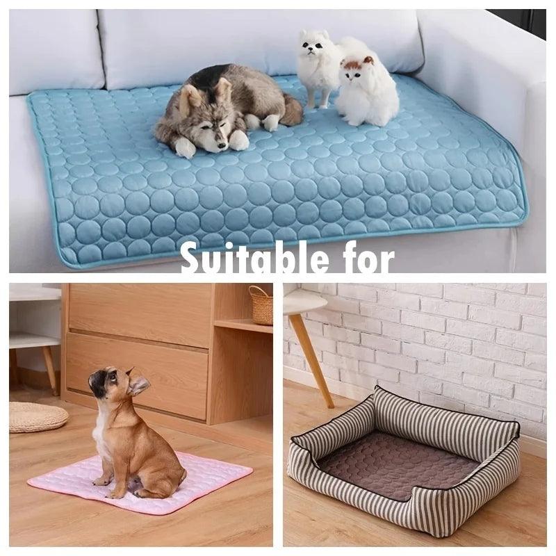 Adjustable Breathable Dog Car Harness