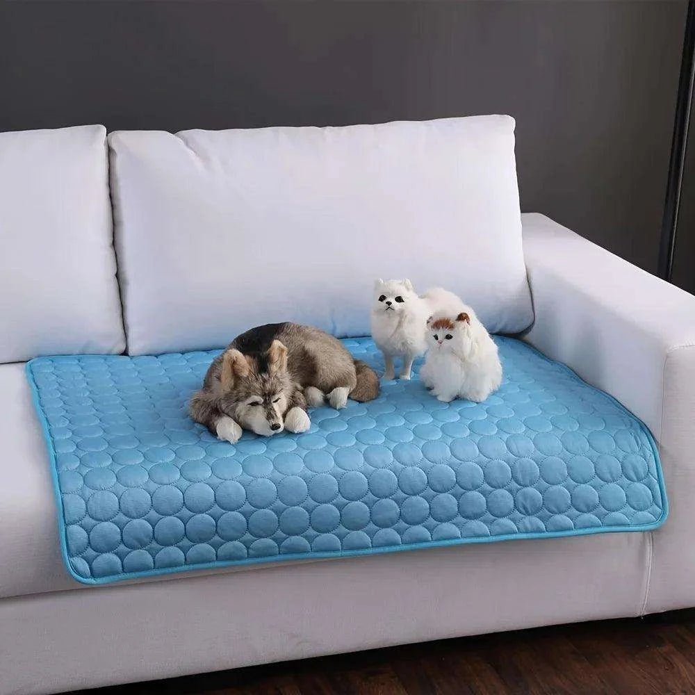 Cooling Mat for PetsDescription:
Beat the summer heat! Keep your pets cool and comfortable with this extra-large cooling mat, designed to keep them relaxed and happy all season long.
Regal Pet PalaceRegal Pet PalaceCooling Mat