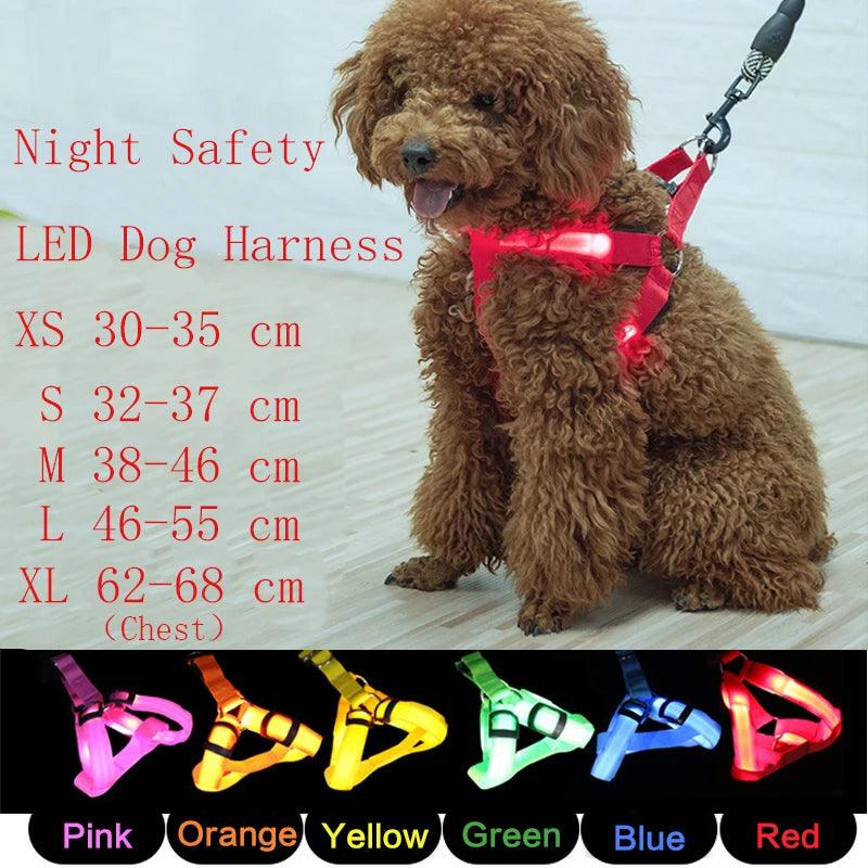 LED Rechargeable Dog Harness