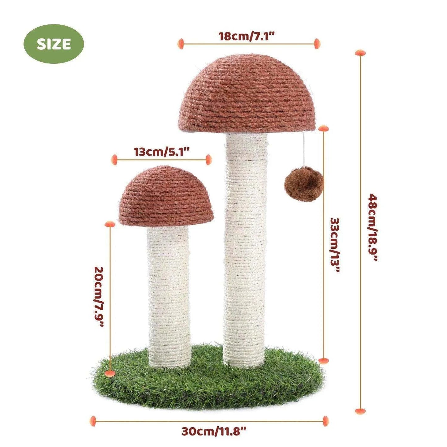 Cactus Cat Tree ToyDescription:
Your cat’s new favorite hangout! This playful cactus-themed cat tree features a scratching post, ball toy, and cozy mushroom condo—perfect for climbing,Regal Pet PalaceRegal Pet PalaceCactus Cat Tree