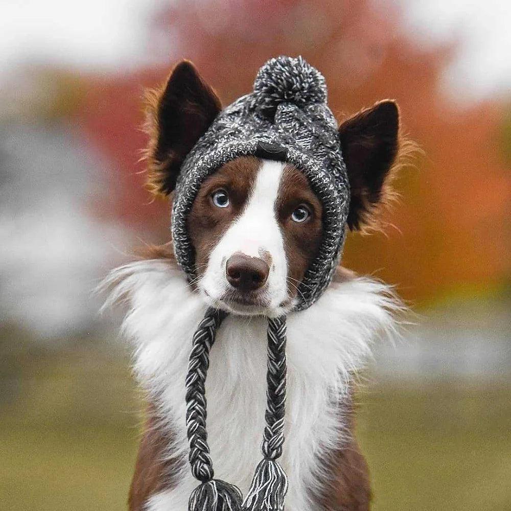 Winter Warm Dog Hat
