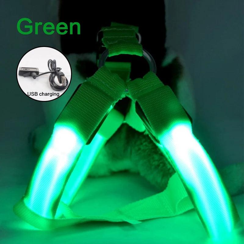 LED Rechargeable Dog Harness