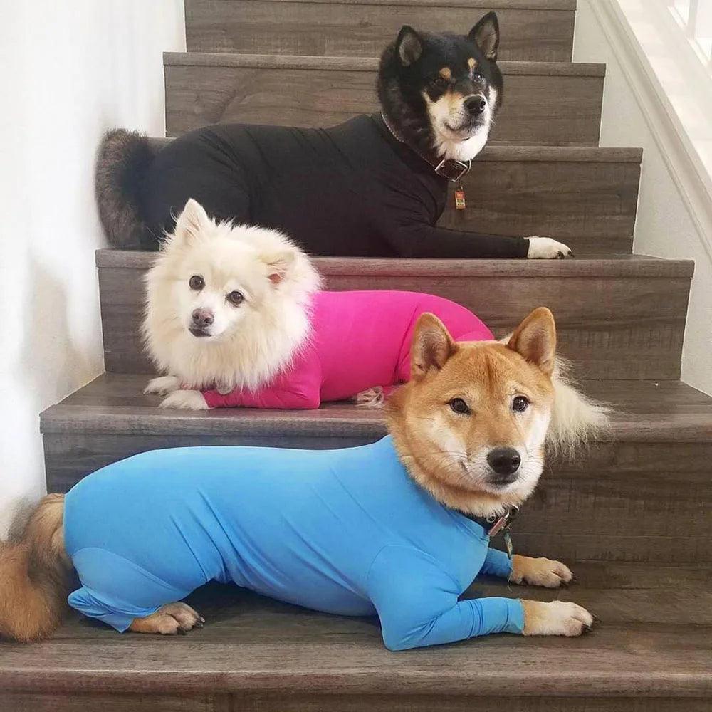 Comfy Dog Pajamas for All
