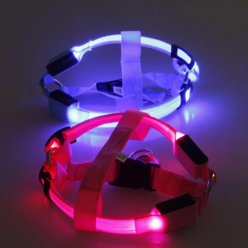 LED Rechargeable Dog Harness