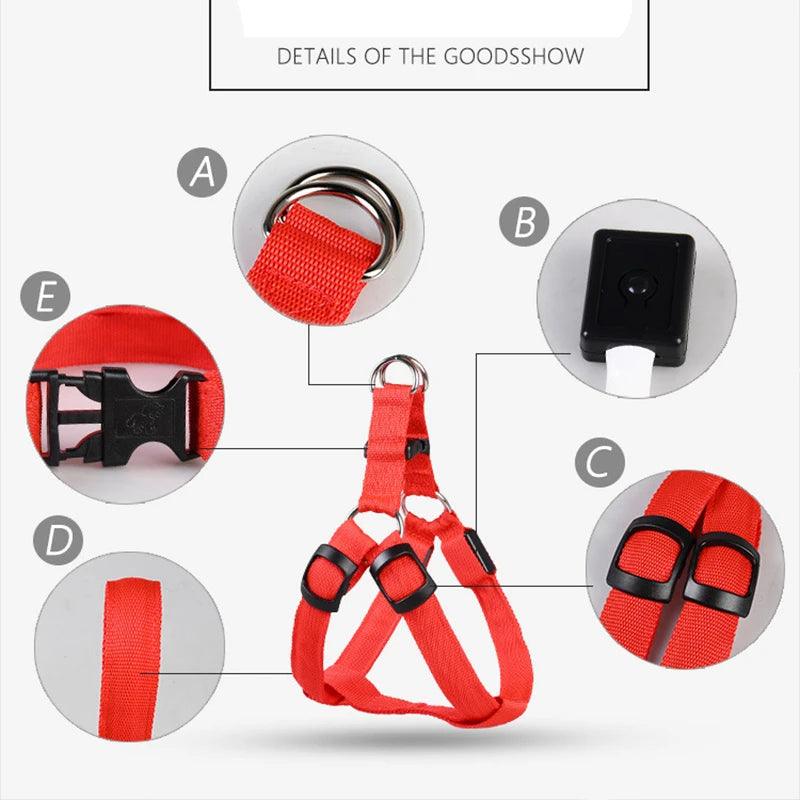 LED Rechargeable Dog Harness