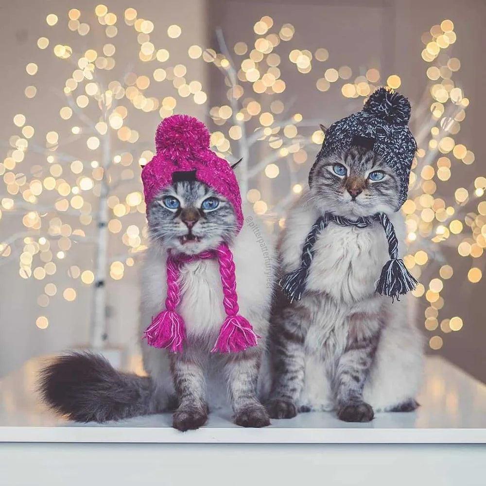 Winter Warm Dog Hat