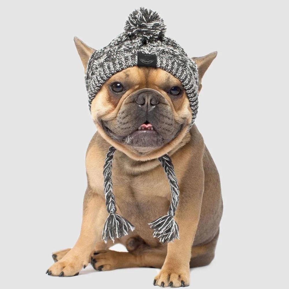 Winter Warm Dog Hat