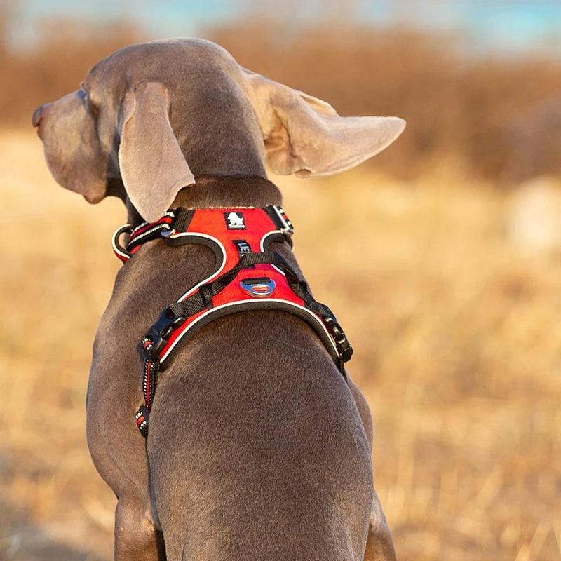 Reflective No-Pull Dog Harness