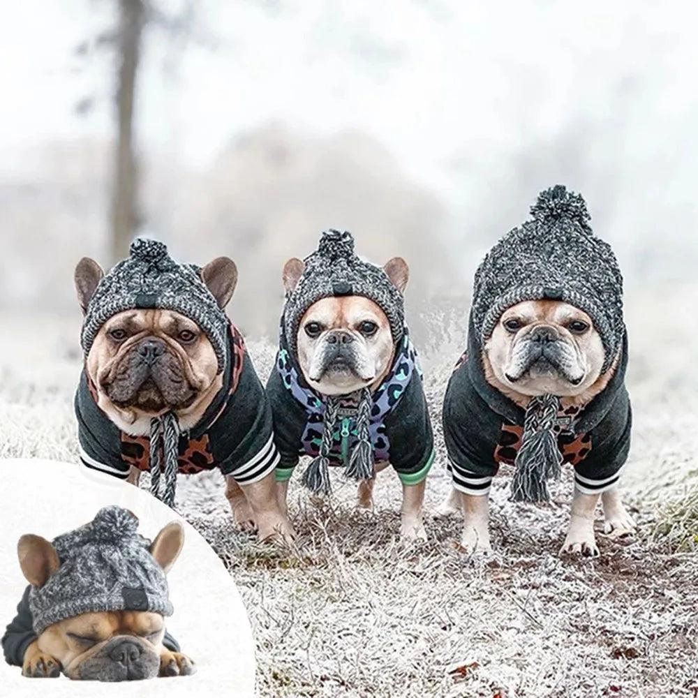 Winter Warm Dog Hat