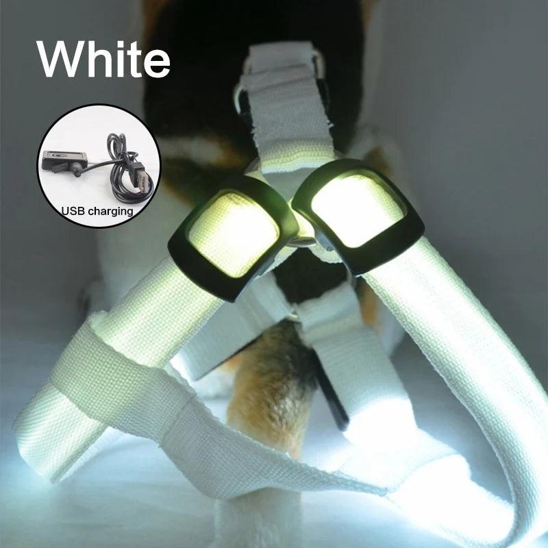 LED Rechargeable Dog Harness