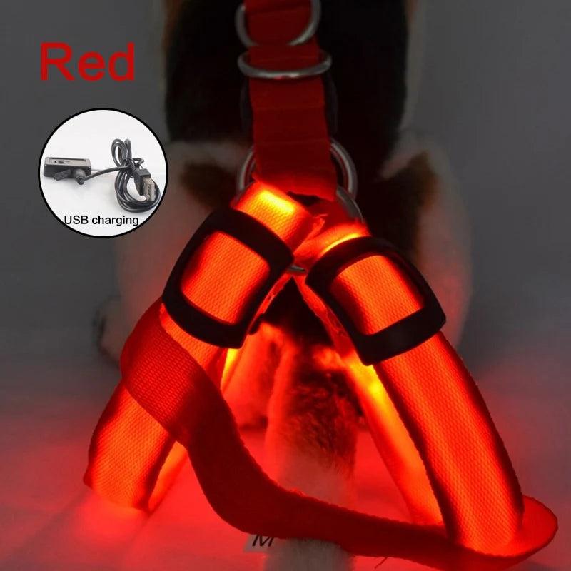 LED Rechargeable Dog Harness