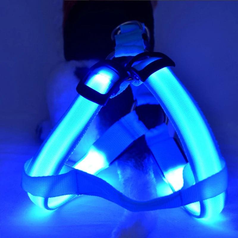LED Rechargeable Dog Harness