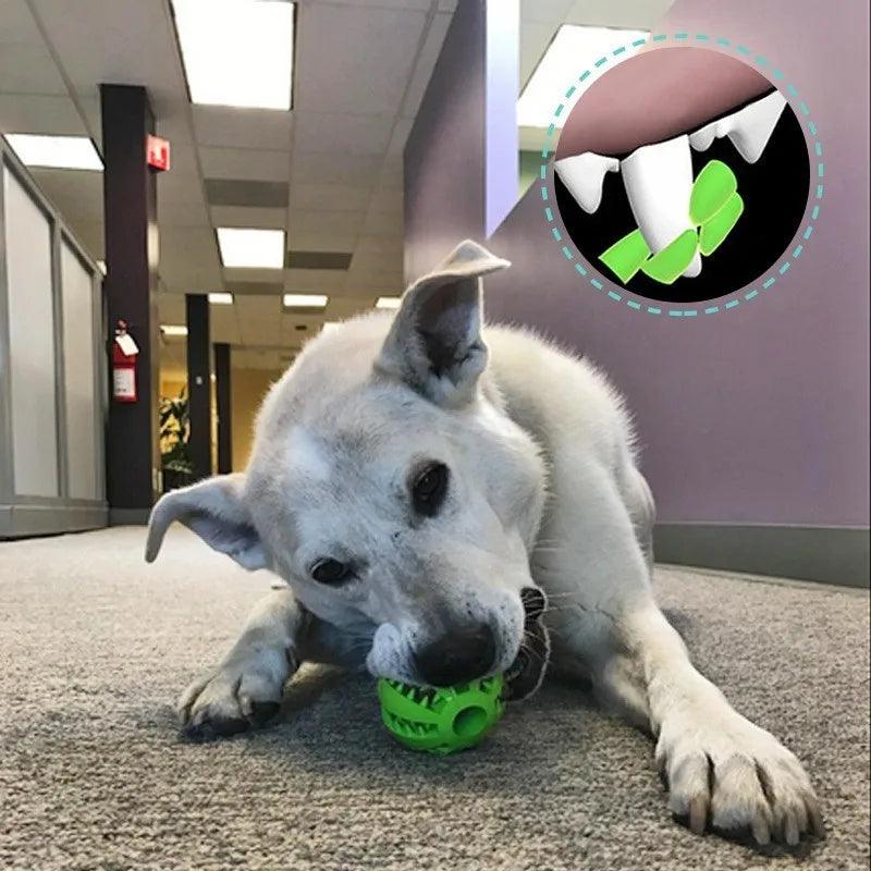 Durable Bounce Chew Ball
