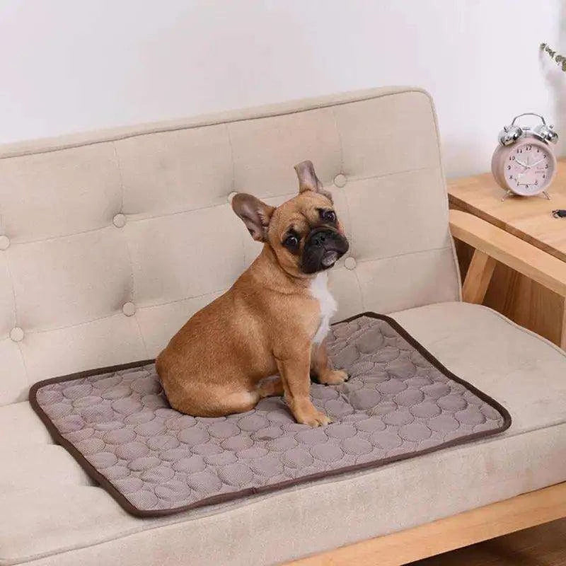 Cooling Summer Pet Bed MatDescription:
Keep your furry friends cool and comfortable this summer with this breathable, washable dog mat. Perfect for pets of all sizes, whether at home or on tRegal Pet PalaceRegal Pet PalaceCooling Summer