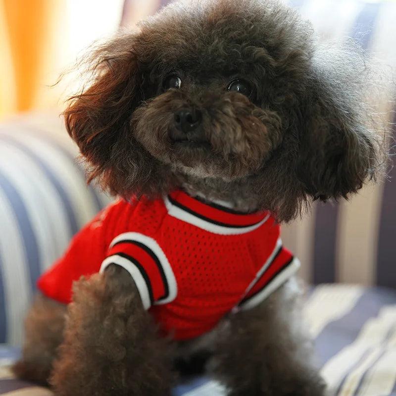 Sporty Dog Basketball Vest