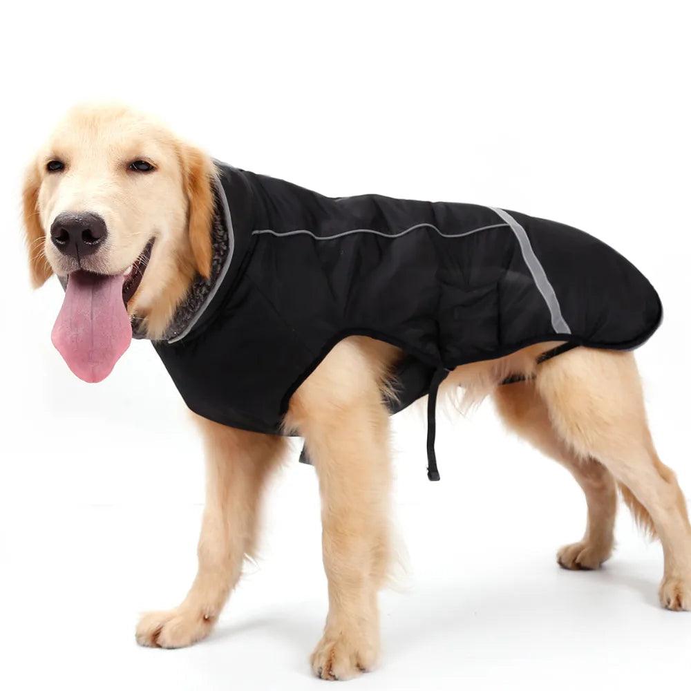 Winter Dog Jacket