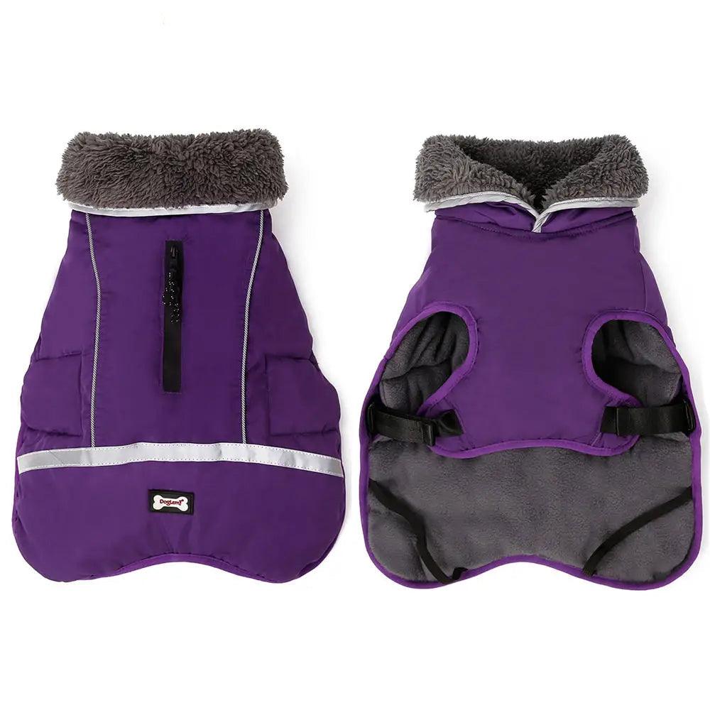 Winter Dog Jacket