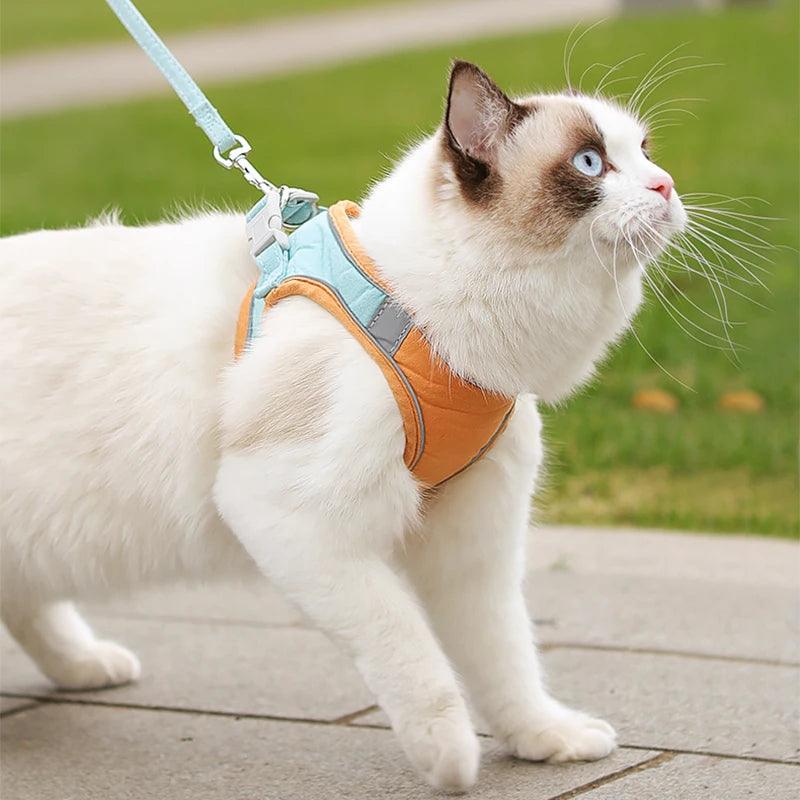 Adjustable Dog & Cat Harness