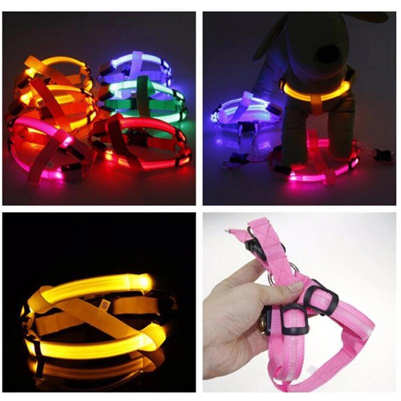 LED Rechargeable Dog Harness