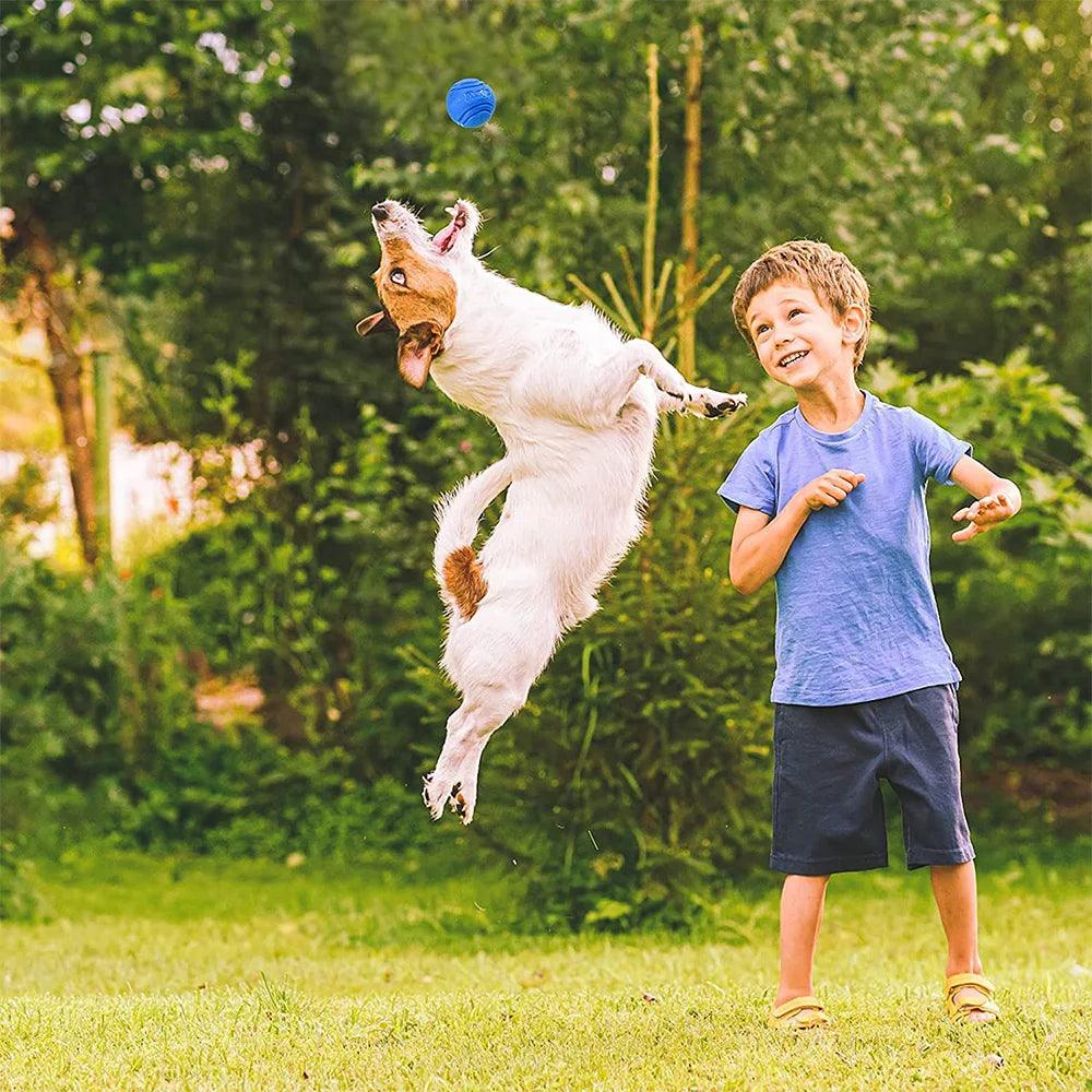 Bouncy Dog Chew Ball