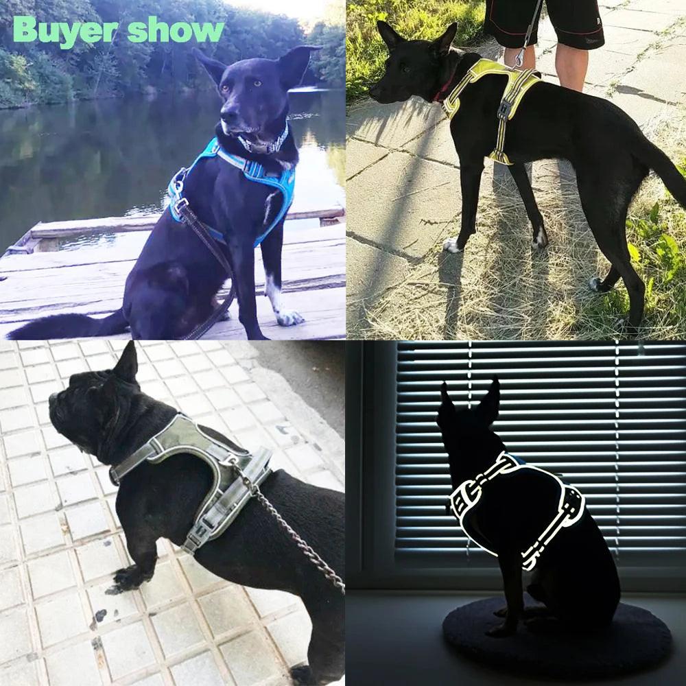 Reflective Adjustable Dog Harness