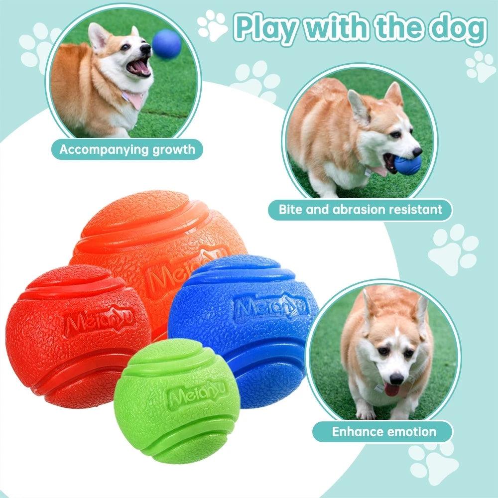 Bouncy Dog Chew Ball