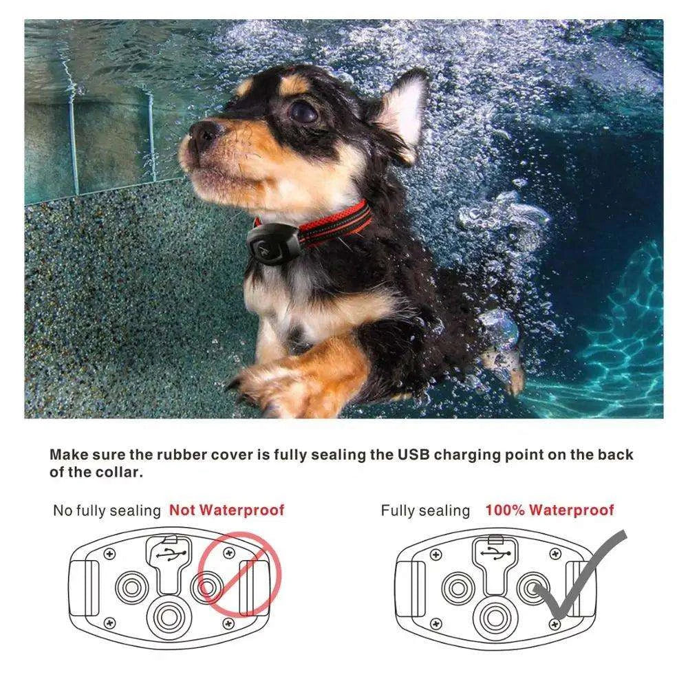 2-in-1 Dog Training CollarDescription:
Train your dog with confidence! This 2-in-1 remote training and anti-bark collar offers adjustable modes, a waterproof design, and long-range control fRegal Pet PalaceRegal Pet Palace2-in-1 Dog
