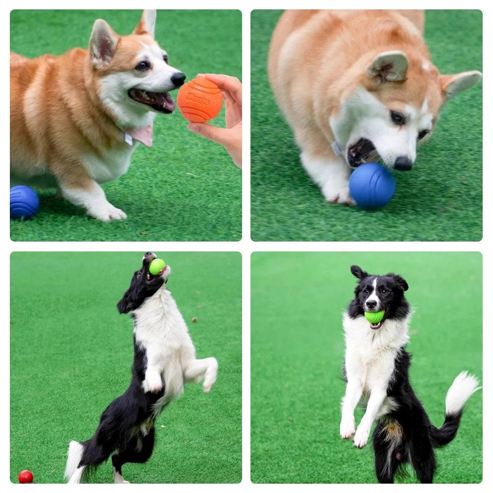 Bouncy Dog Chew Ball