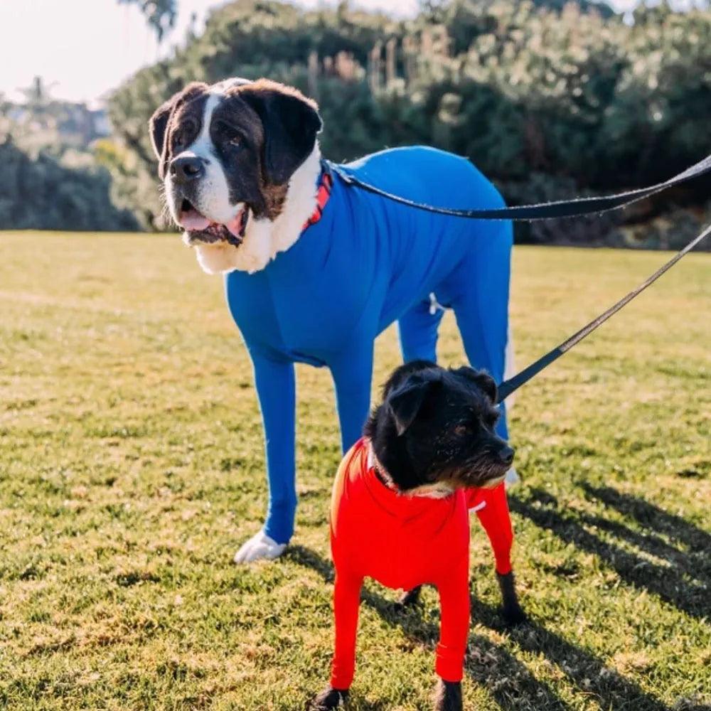 Comfy Dog Pajamas for All