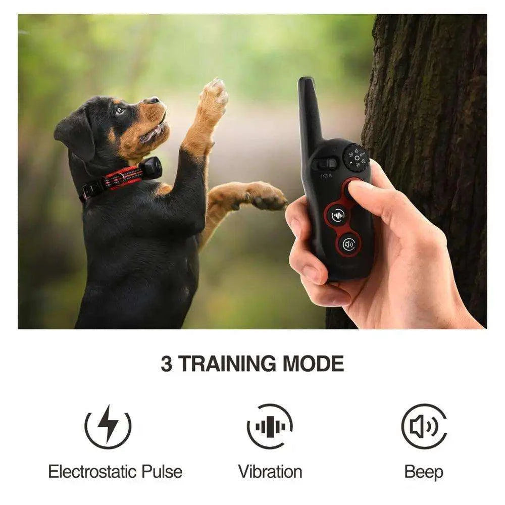 2-in-1 Dog Training CollarDescription:
Train your dog with confidence! This 2-in-1 remote training and anti-bark collar offers adjustable modes, a waterproof design, and long-range control fRegal Pet PalaceRegal Pet Palace2-in-1 Dog