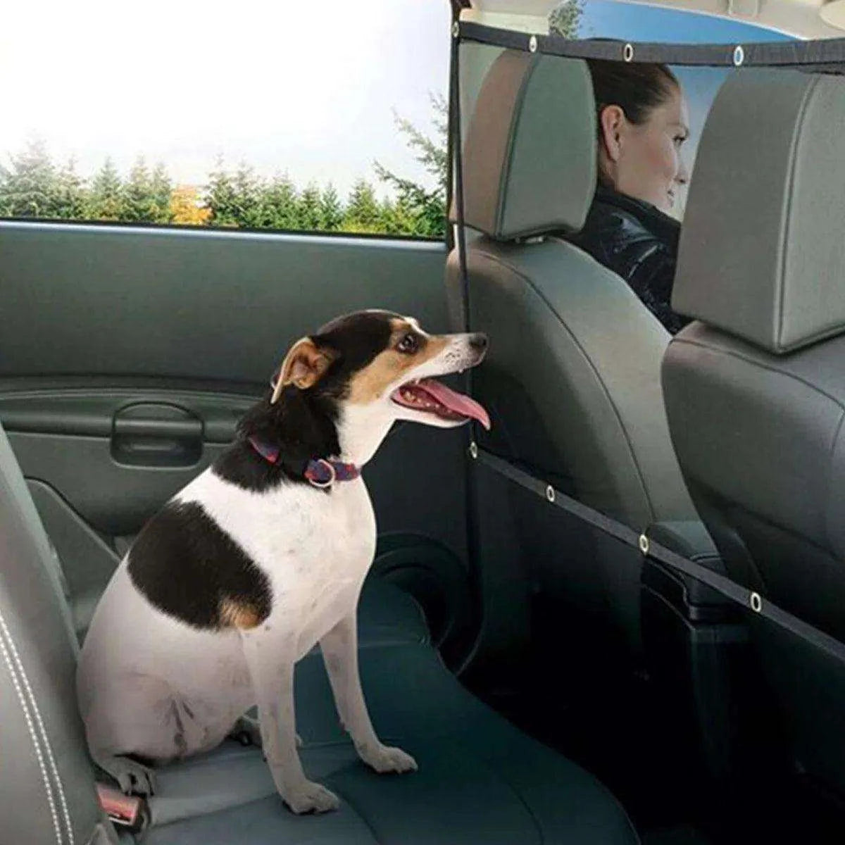 Car Pet Safety BarrierDescription:
Protect your pet and passengers on the road! This durable, anti-collision pet fence ensures your dog stays safe and secure in the car while keeping disRegal Pet PalaceRegal Pet PalaceCar Pet Safety