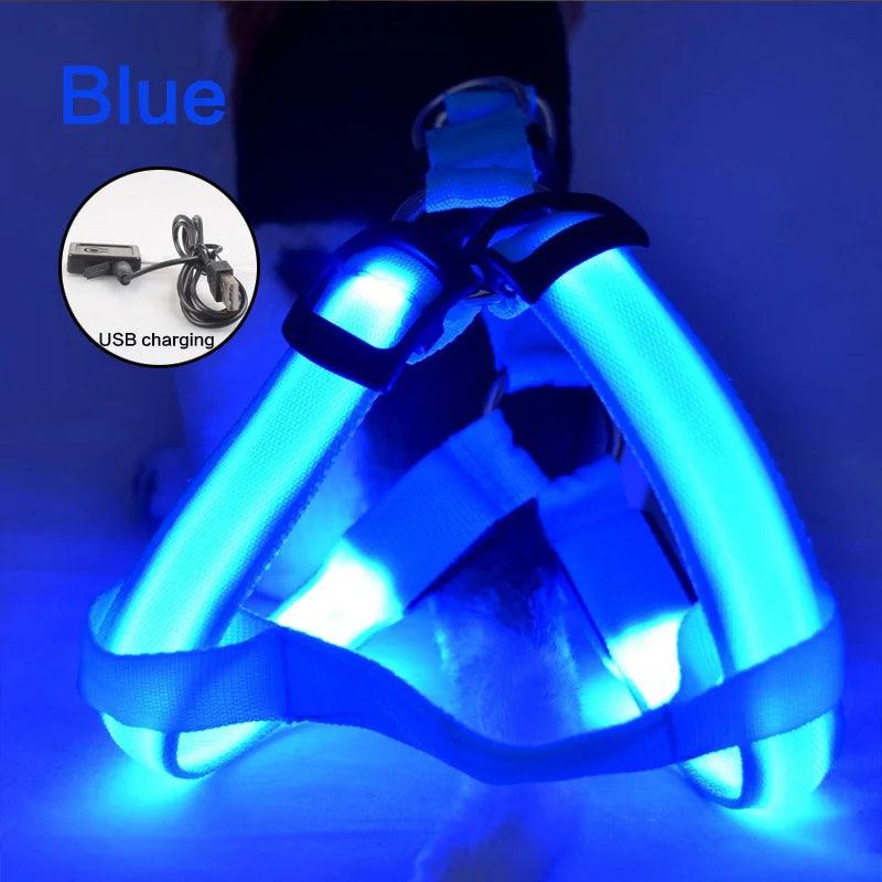 LED Rechargeable Dog Harness