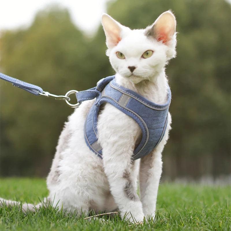 Adjustable Dog & Cat Harness