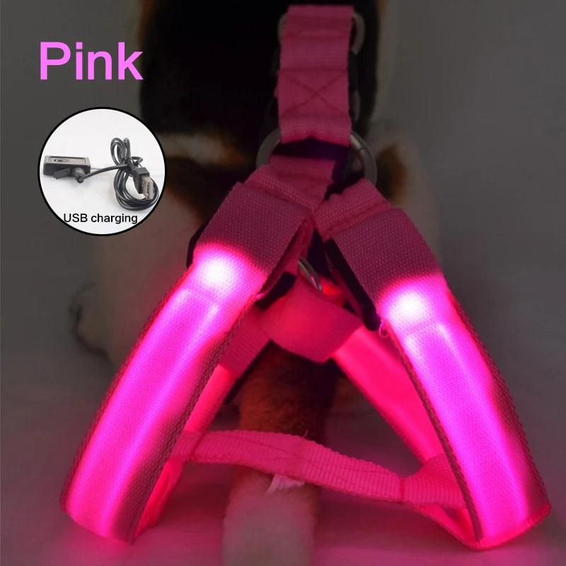 LED Rechargeable Dog Harness