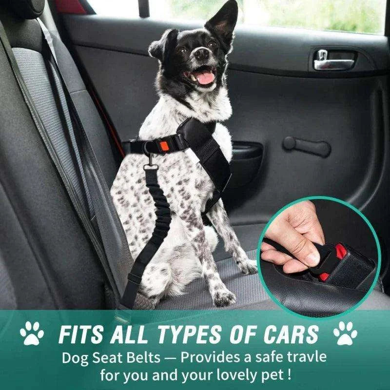 Adjustable Dog Car Seat BeltDescription:
Ensure your dog’s safety during every car ride. This durable nylon car seat belt features a retractable design, offering a secure, comfortable, and elaRegal Pet PalaceRegal Pet PalaceDog Car Seat