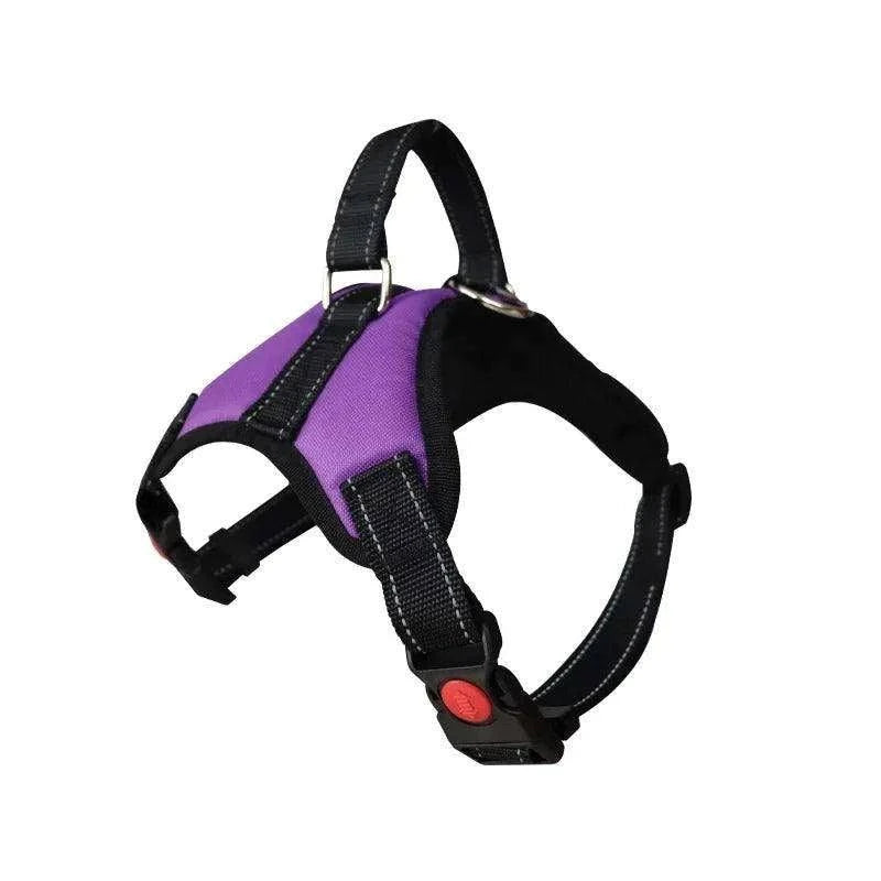 Adjustable Dog Harness & LeashDescription:
Walk your dog with ease! This adjustable harness and reflective leash combo ensures comfort and control for dogs of all sizes, perfect for walking, runRegal Pet PalaceRegal Pet PalaceAdjustable Dog Harness