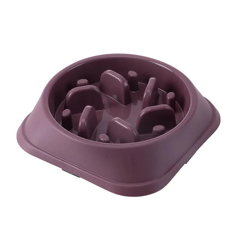 Anti-Choking Slow Feed Bowl