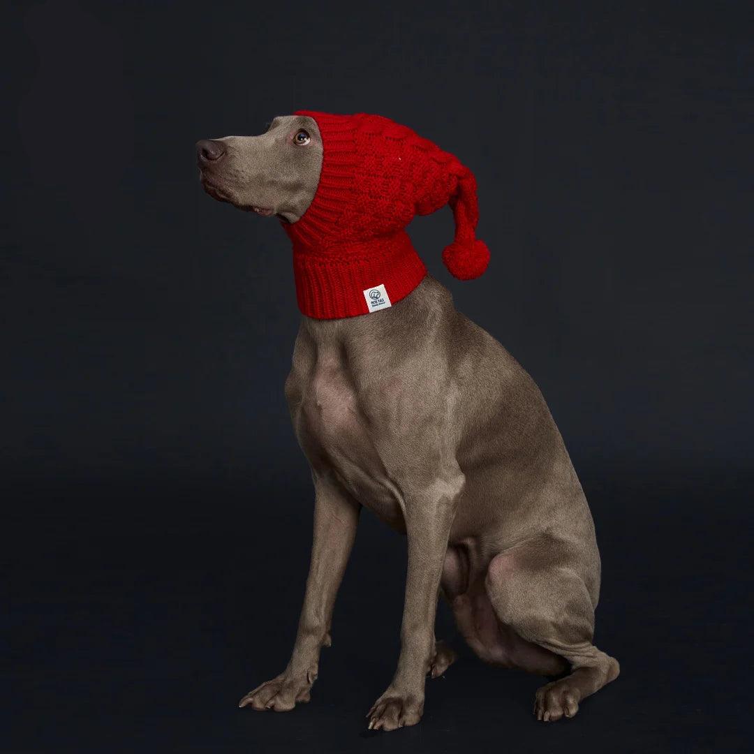 Cozy Pom-Pom Dog Hat