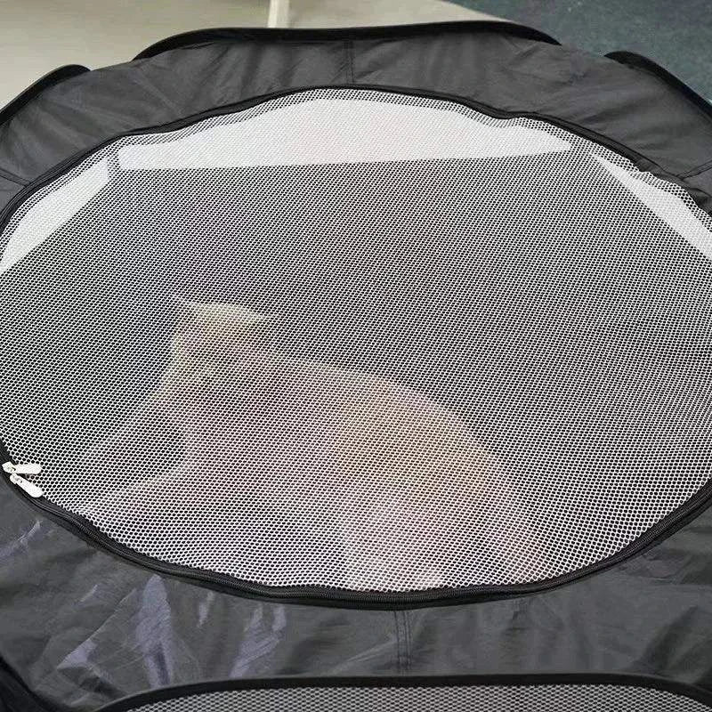 Foldable Cat Tunnel SetDescription:
Transform your cat's playtime with this foldable two-piece tunnel set. Perfect for curious cats and small pets, offering hours of entertainment and comRegal Pet PalaceRegal Pet PalaceFoldable Cat Tunnel