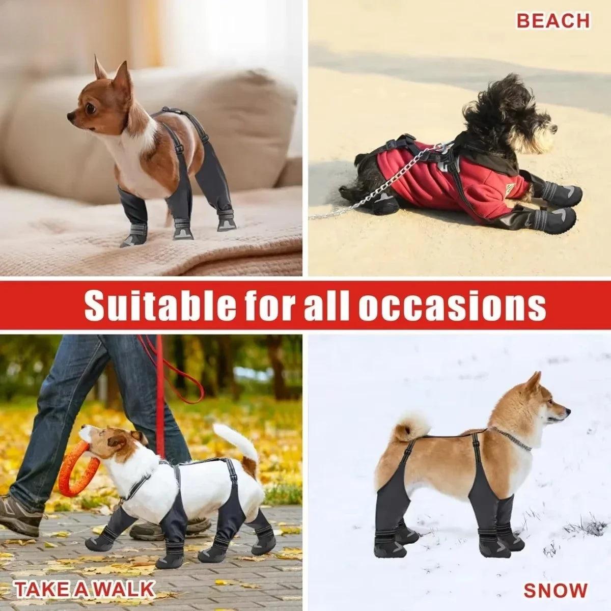 Tall Waterproof Dog Suspender Boots