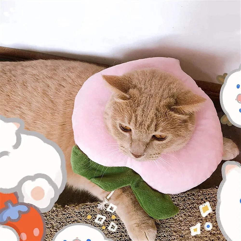 Avocado Pet Recovery Collar