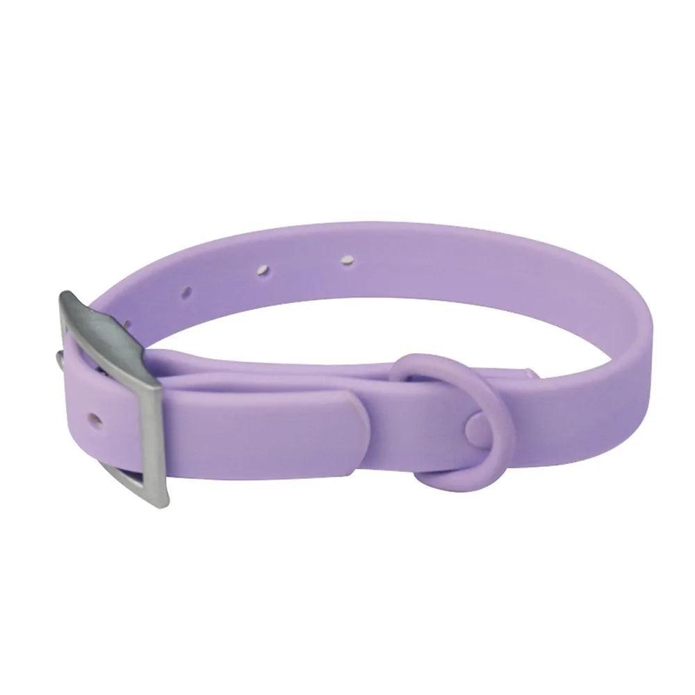 Purple Dog Collar & Leash Set