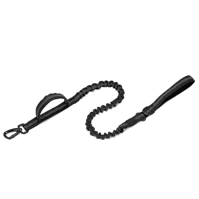 Durable Dog Collar & Leash