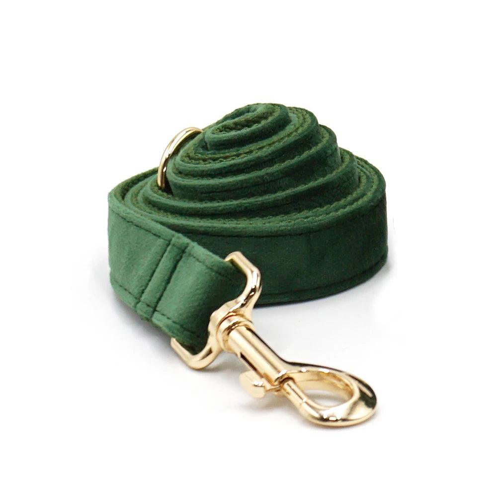 Personalized Velvet Dog Collar