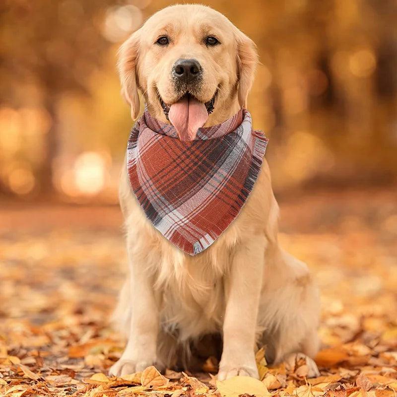 Plaid Dog Bandana Set