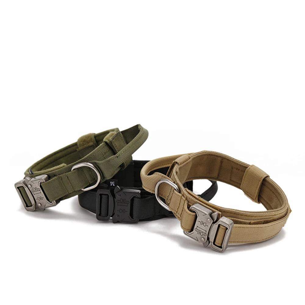 Durable Dog Collar & Leash