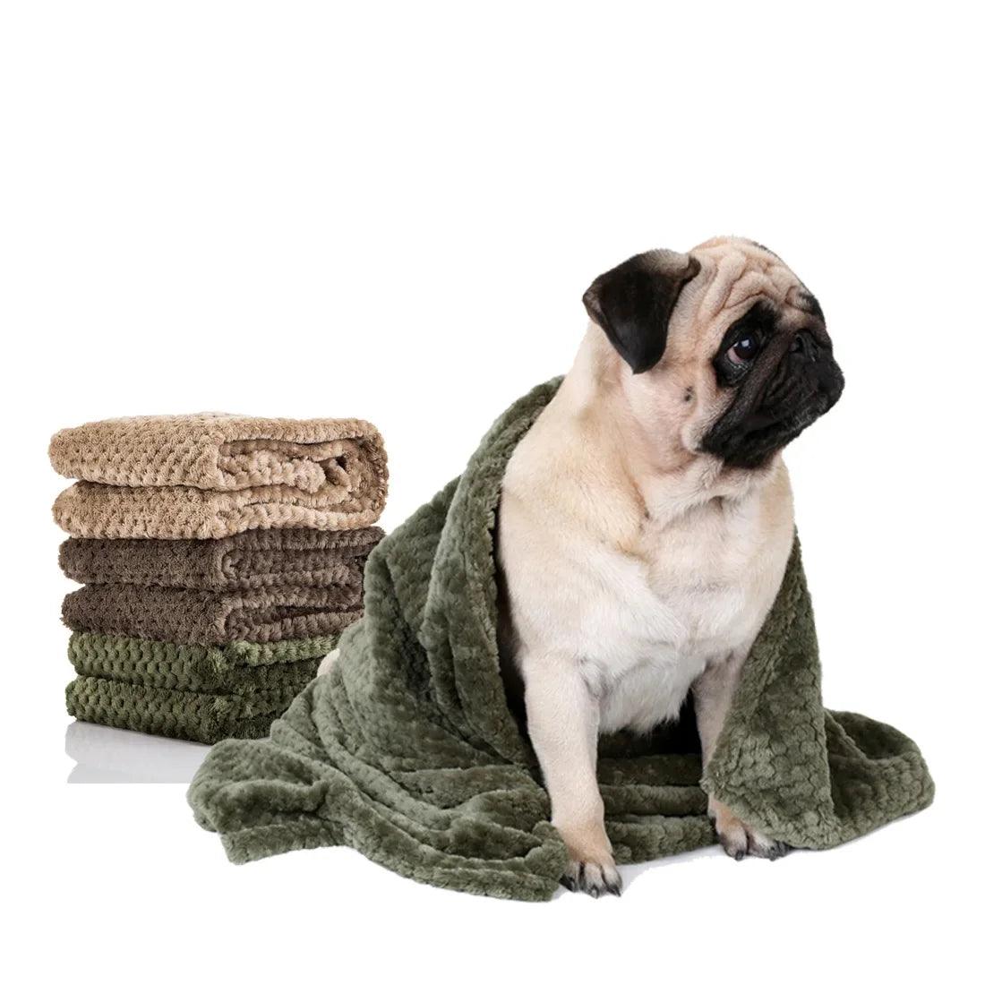 Cozy Coral Fleece Blanket