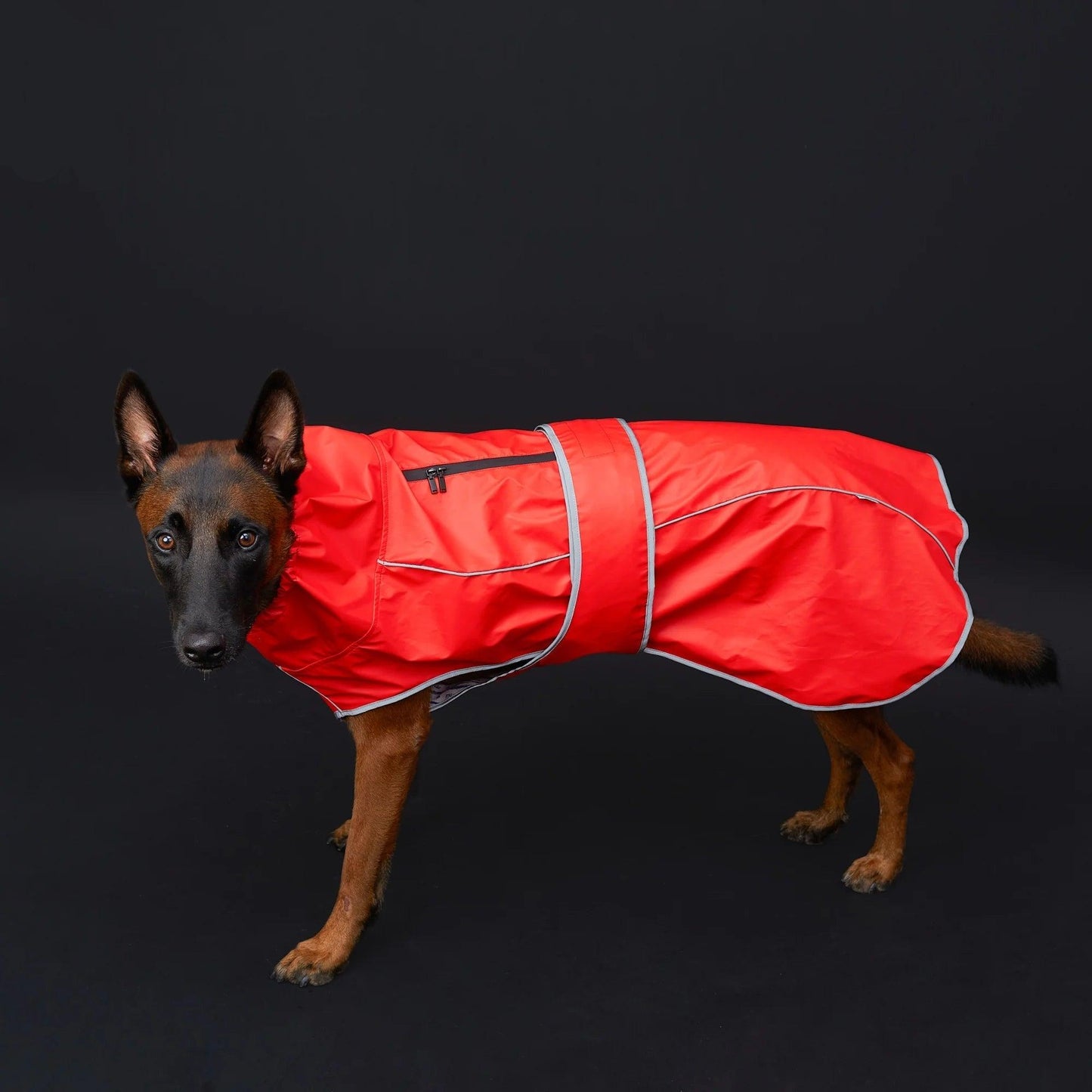 Reflective Waterproof Dog Raincoat