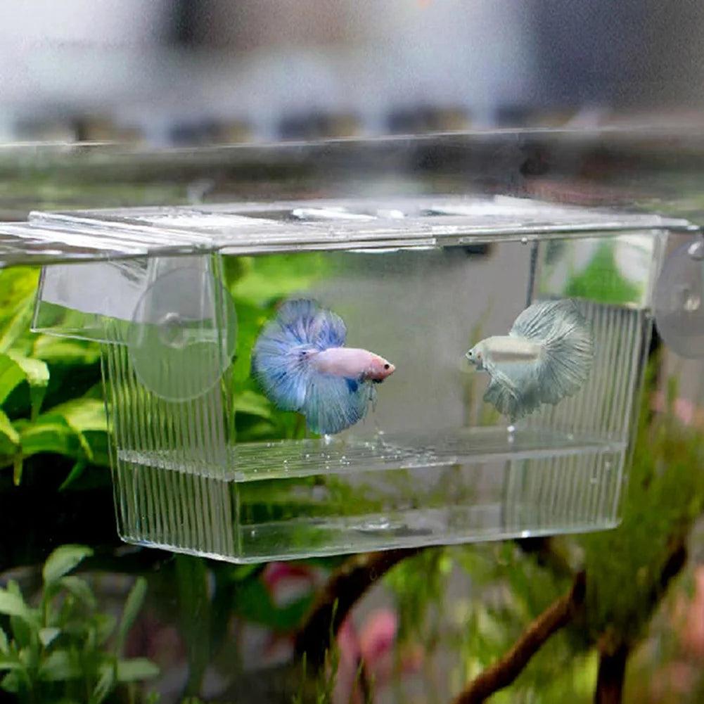 Fish Breeding Isolation Box