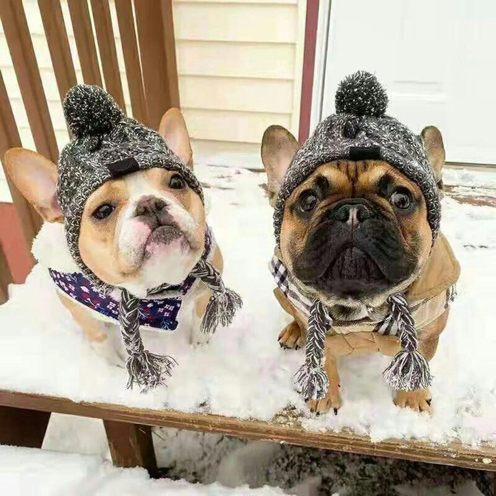 Cozy Knitted Dog Hat